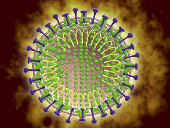 Как геном нового штамма коронавируса влияет процесс создание вакцины от инфекции