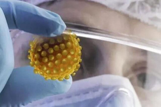 Can the new coronavirus be fake?