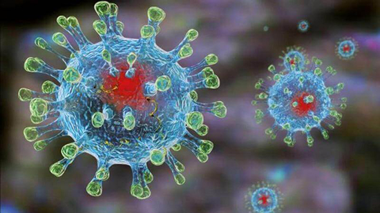 Продолжительность жизни коронавируса во внешней среде