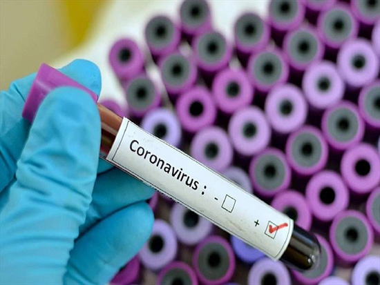 Обзор фактов про новый коронавирус из Китая